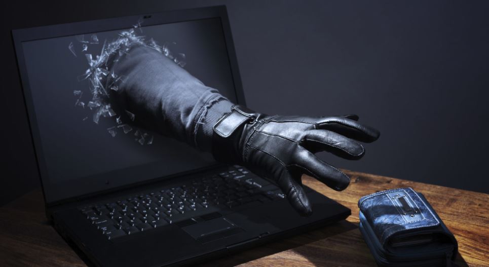 SMA - ViFi scam review